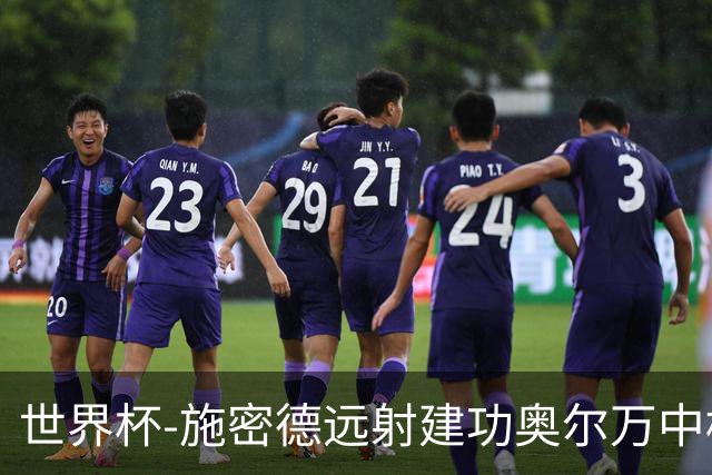 世界杯-施密德远射建功奥尔万中框 半场奥地利1-0约旦