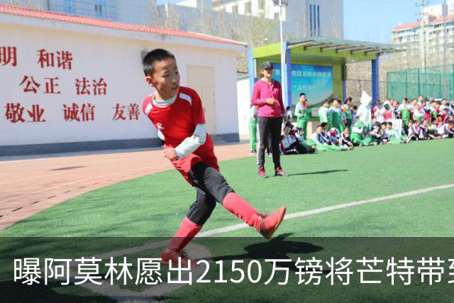 曝阿莫林愿出2150万镑将芒特带到米兰 曼联今夏无意出售